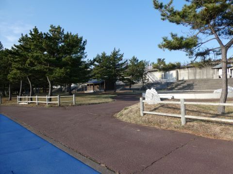 2025-4-1-10.jpg