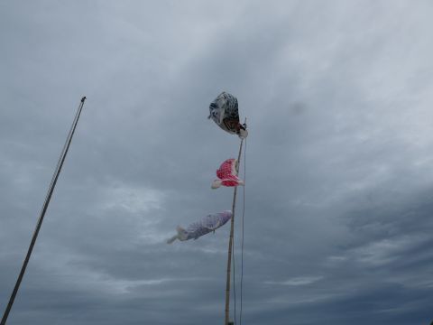 2025-5-14-2.jpg