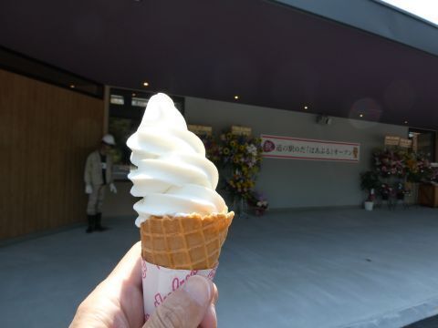 2025-6-22-11.jpg