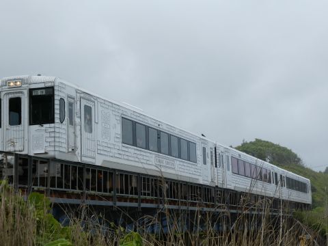 2025-6-5-6.jpg