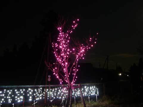 城内のイルミネーション